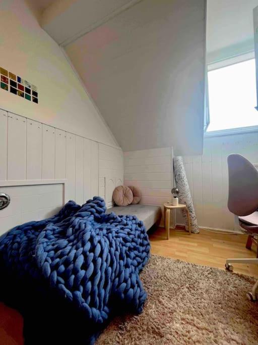 Apartment Big, Bright In The Center Of Zagreb