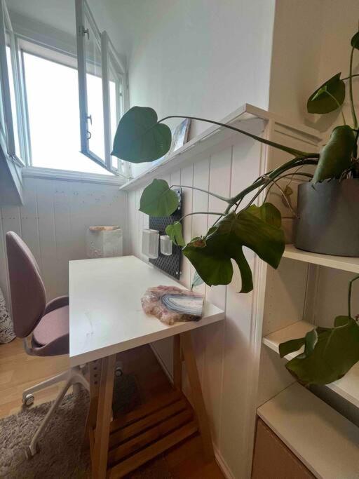 Big, Bright In The Center Of Apartment Zagreb